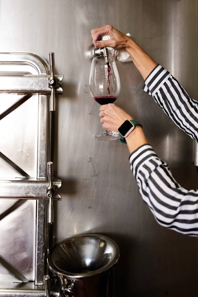 4×4 Vineyard Tour, Tasting and Appetizer + Cellar