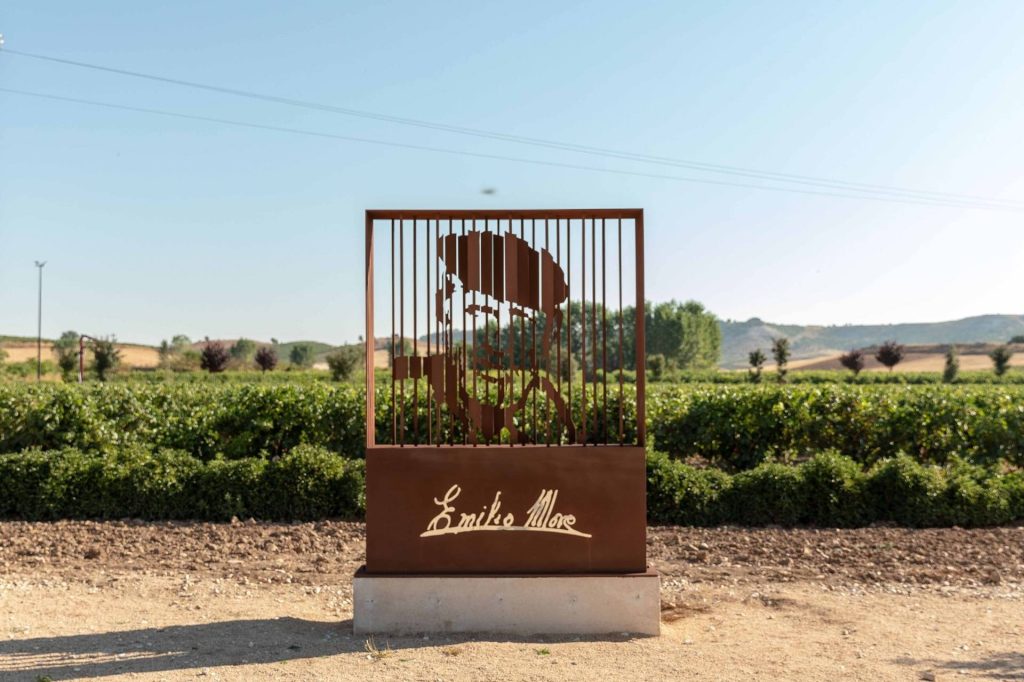 In Malleolus Veritas