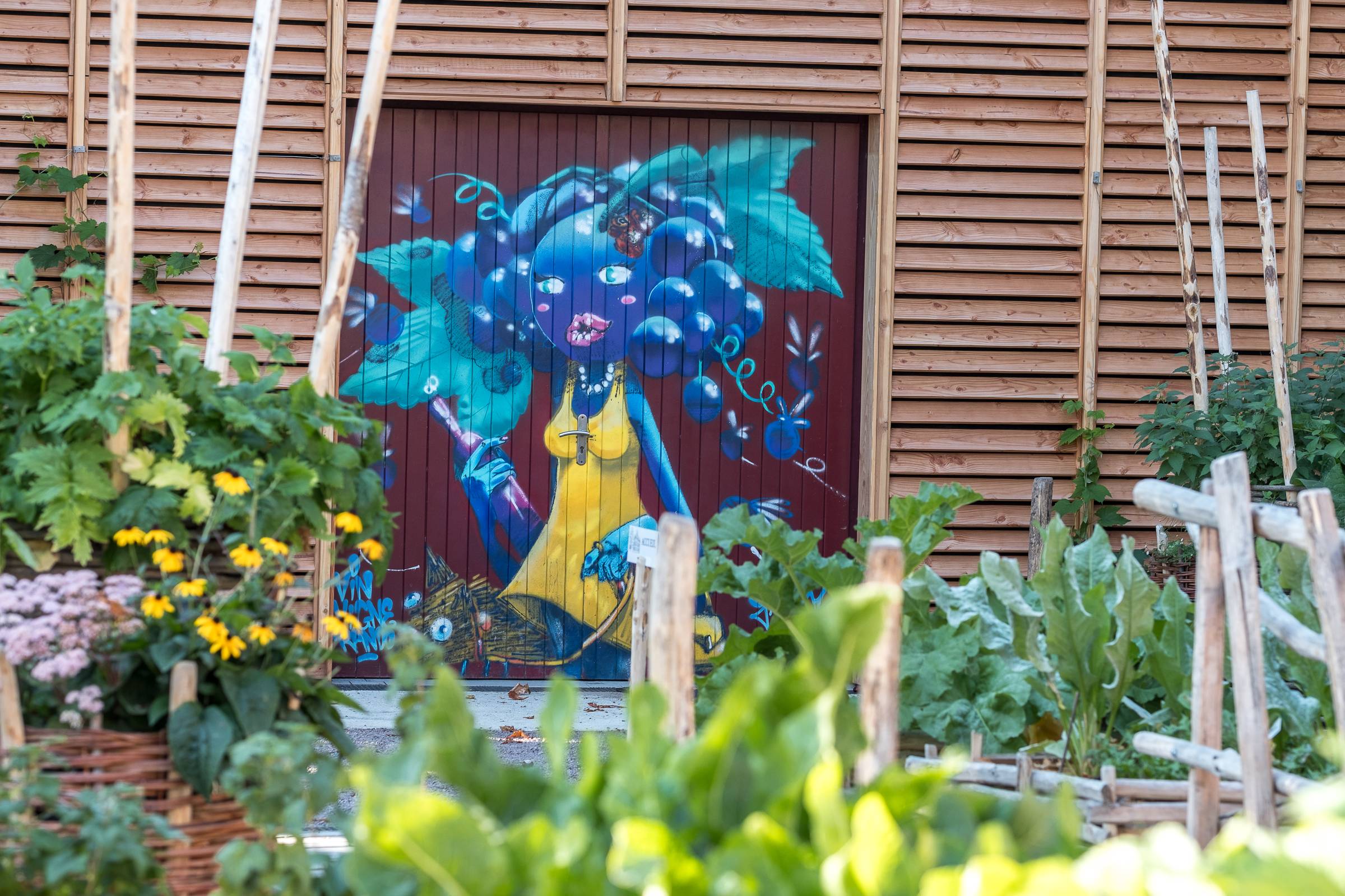 A vineyards, cellars and tasting experience