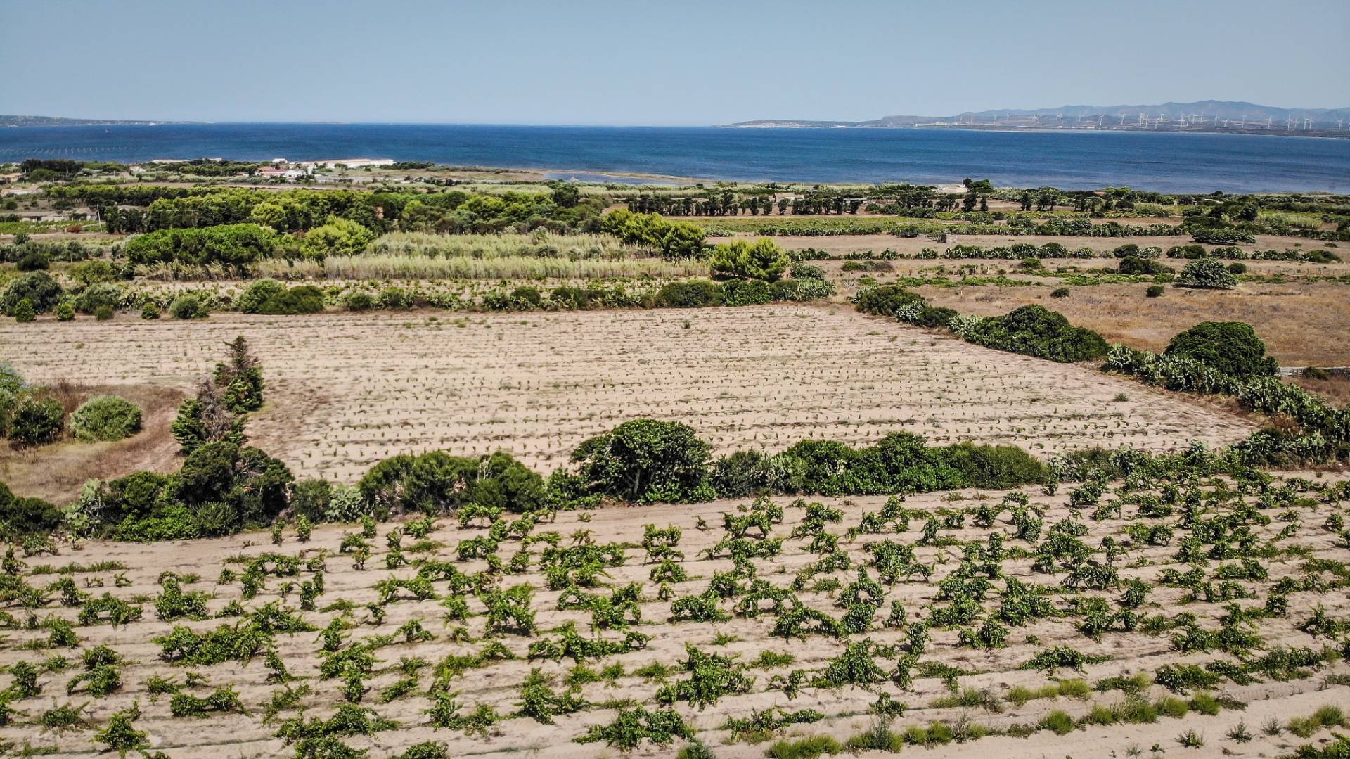 Wine tasting in the cellar