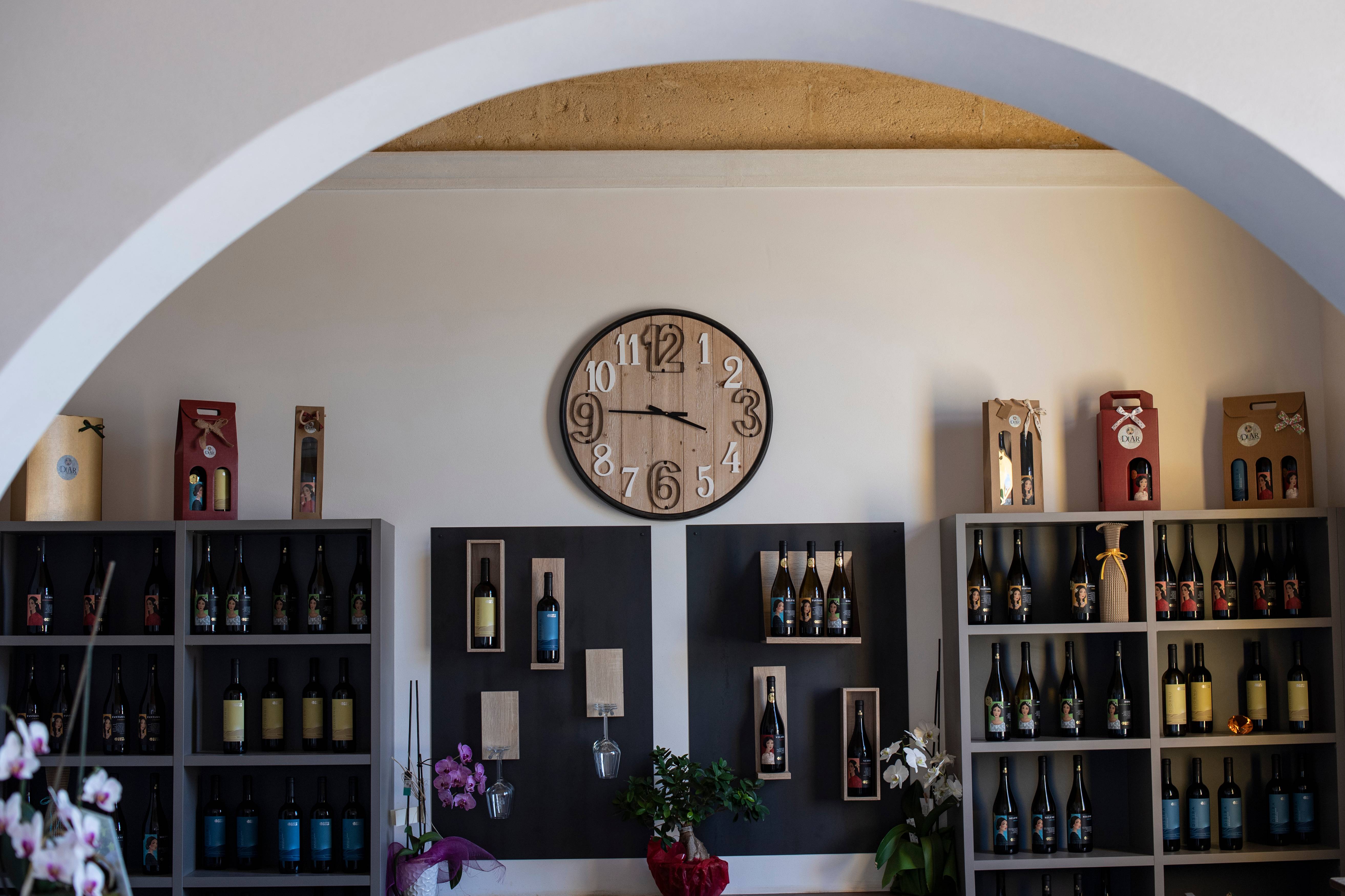 Marsala: cellar tour and tasting of 5 organic wines