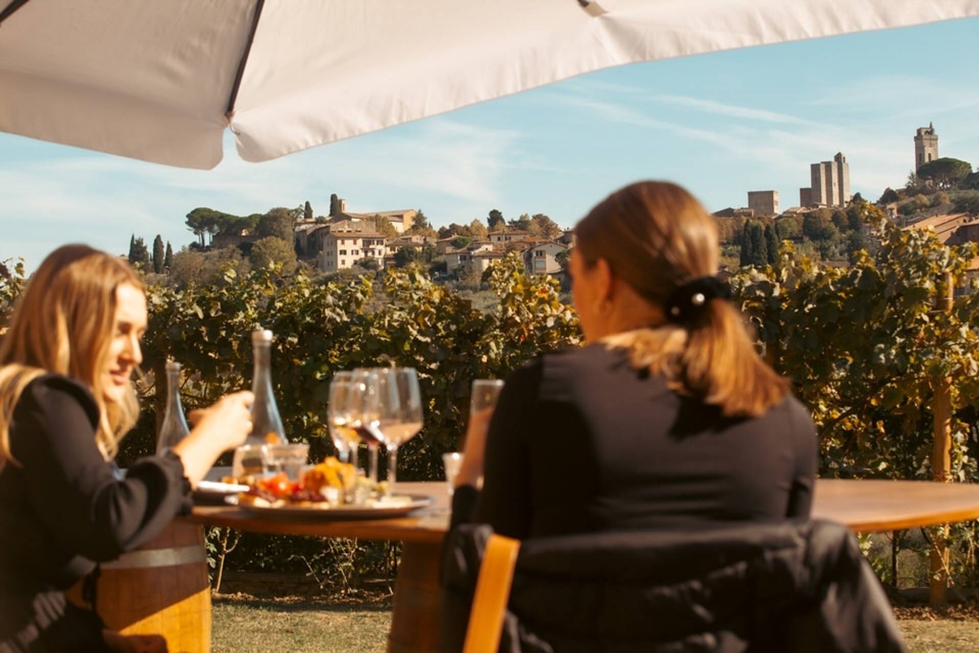 Tasting of wine and biodynamic oil with lunch