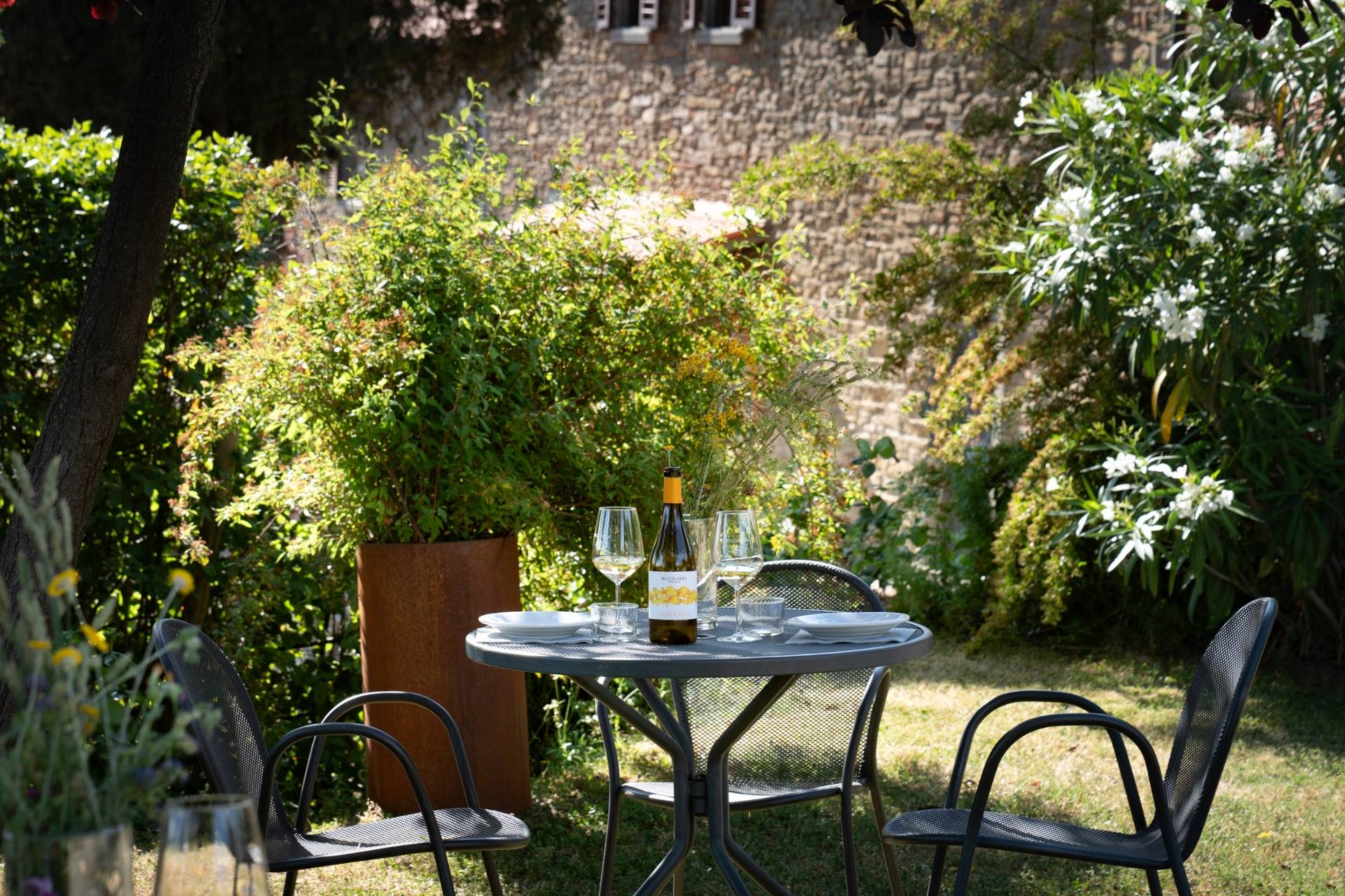 Tour & tasting “The four colors of wine”