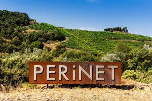 PERINET WINERY