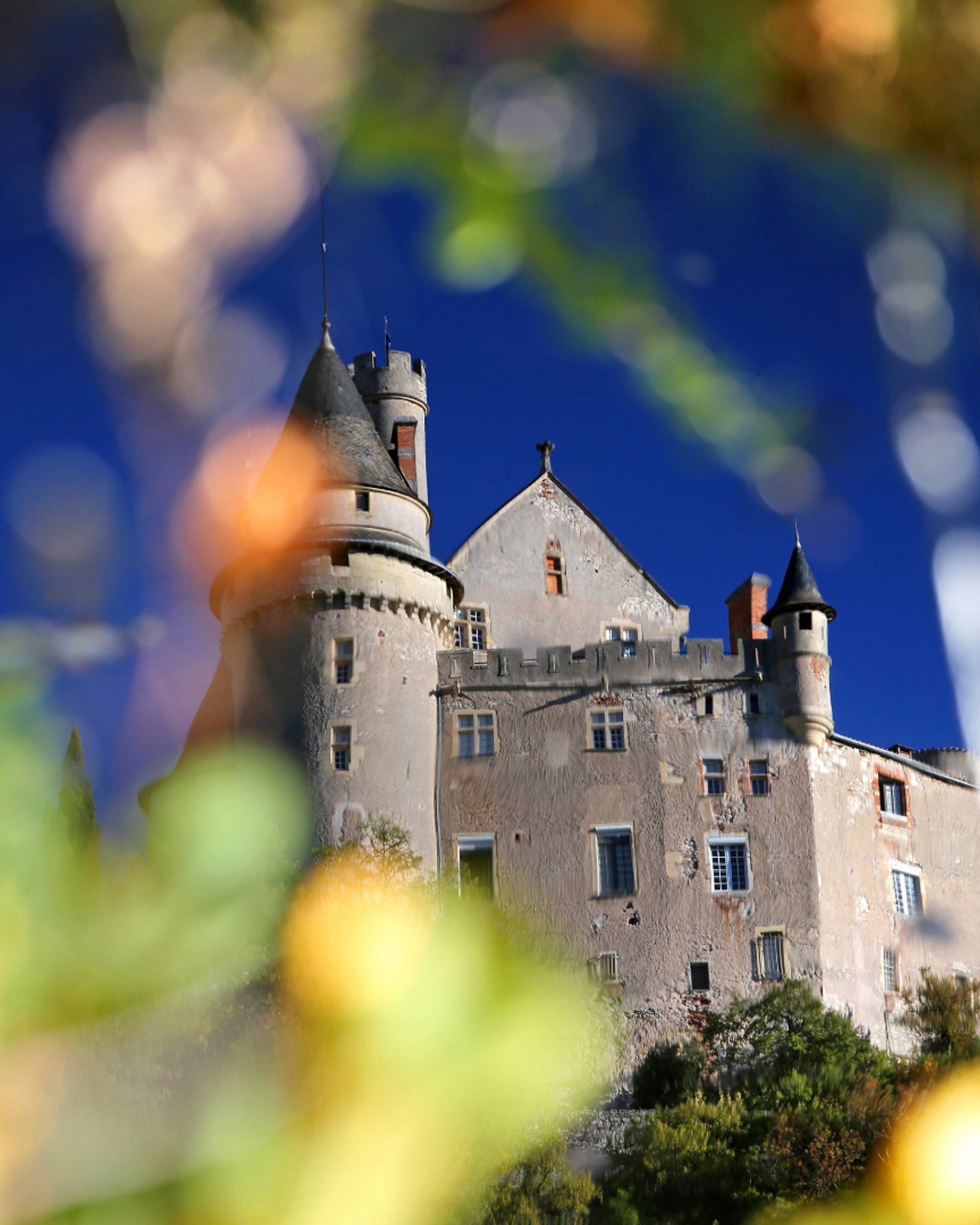 Visit and tasting 3 wines