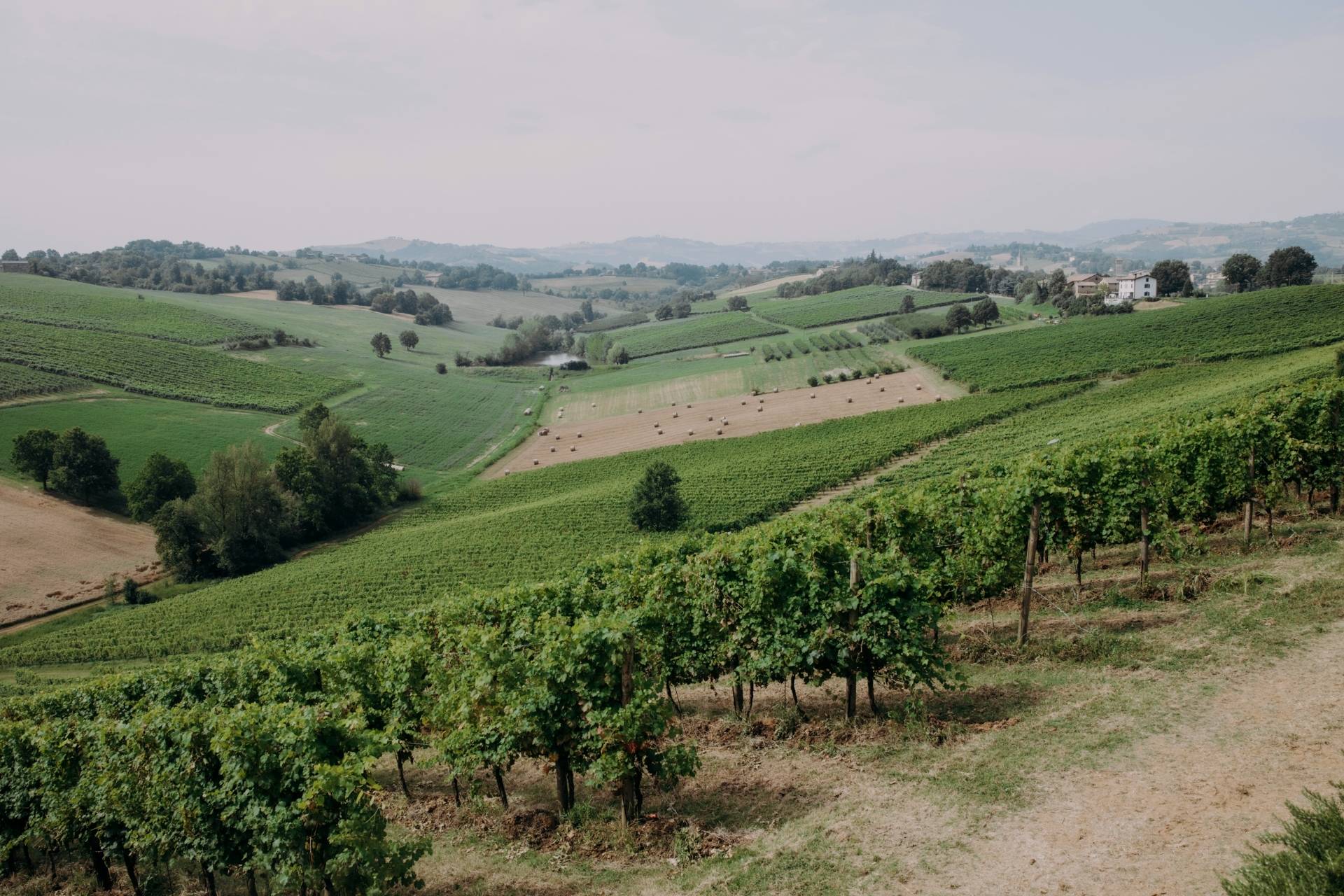 Lambrusco Experience