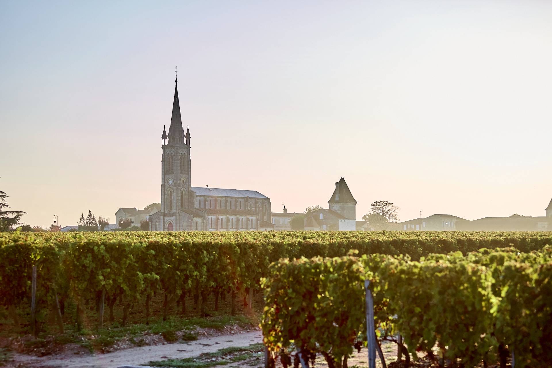 Workshop: Vegetarian food and wine pairing