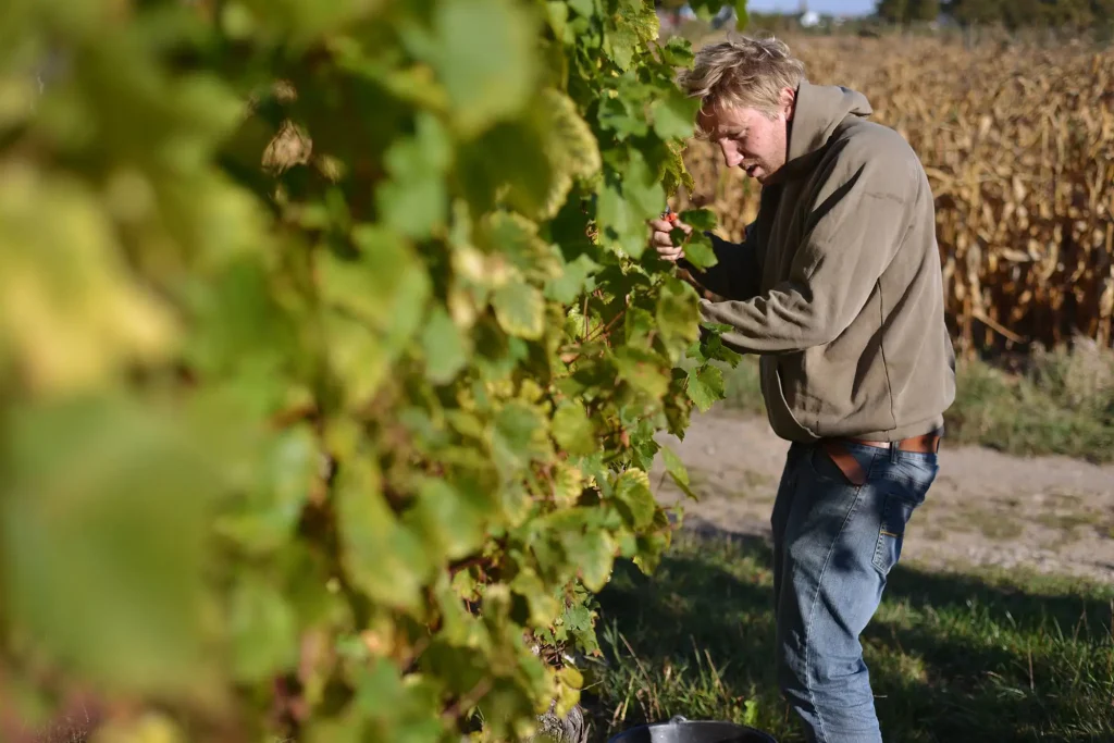 Winemaker’s snack and wine tasting