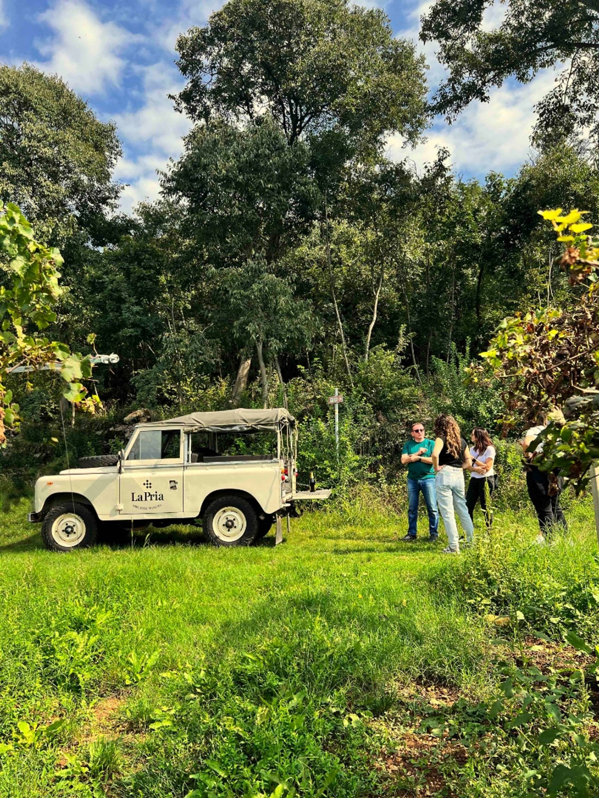 Off-road adventure and wine tasting