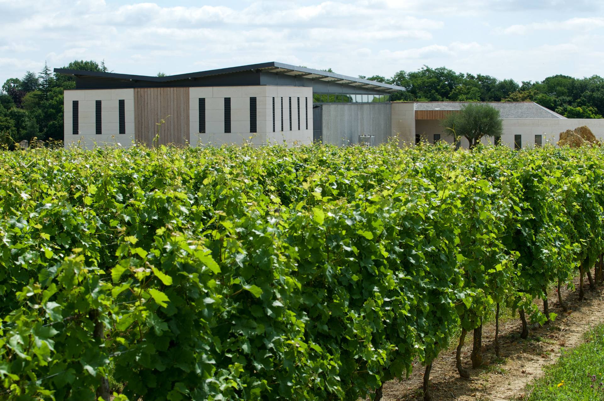 DOMAINE DE ROCHEVILLE