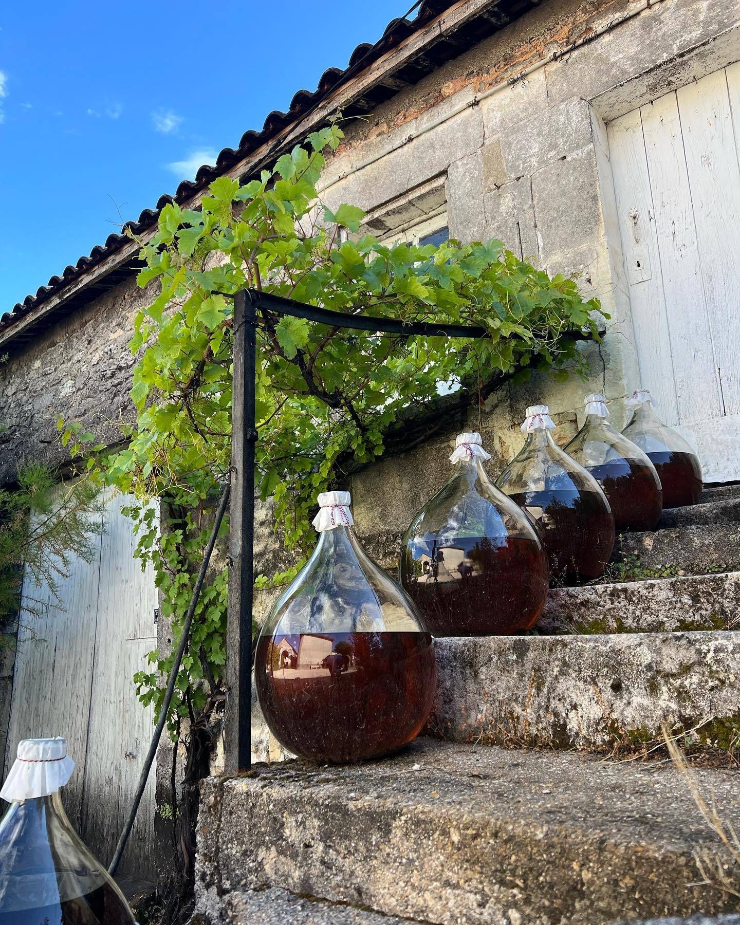 The secrets of cognac