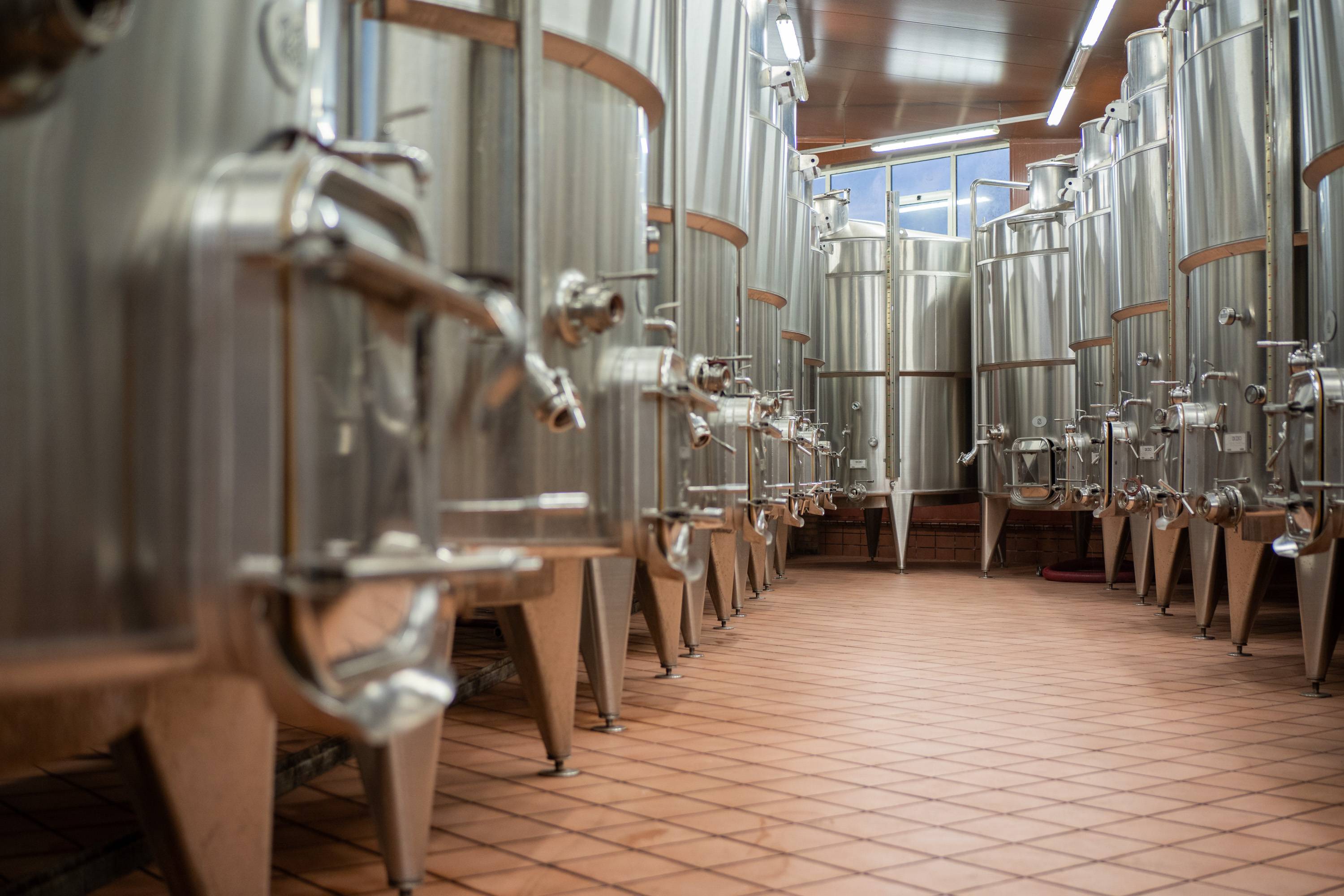 Land of love, silence and flavours