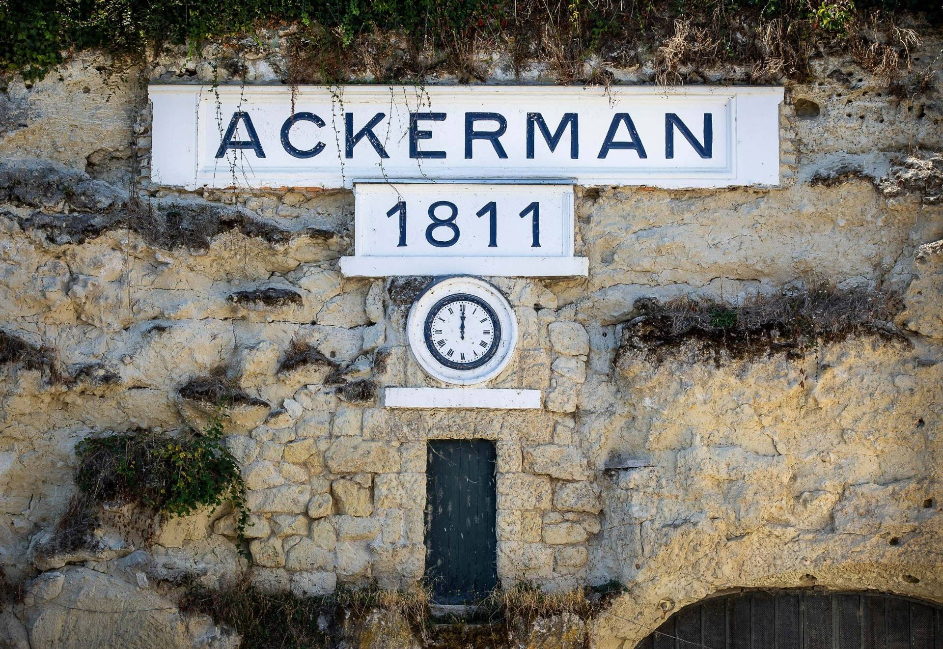 Guided tour “In the heart of the Bubbles”