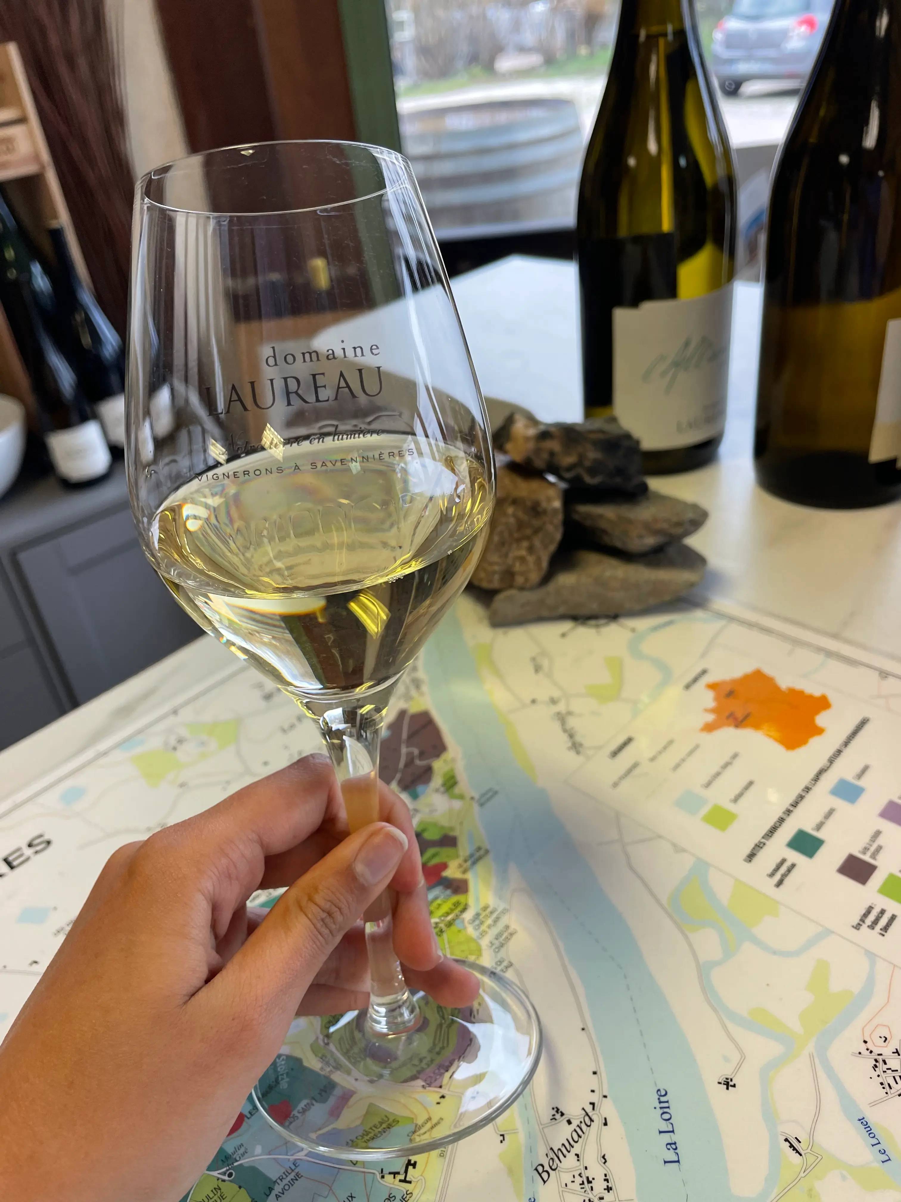 Visit of the vineyards and tasting