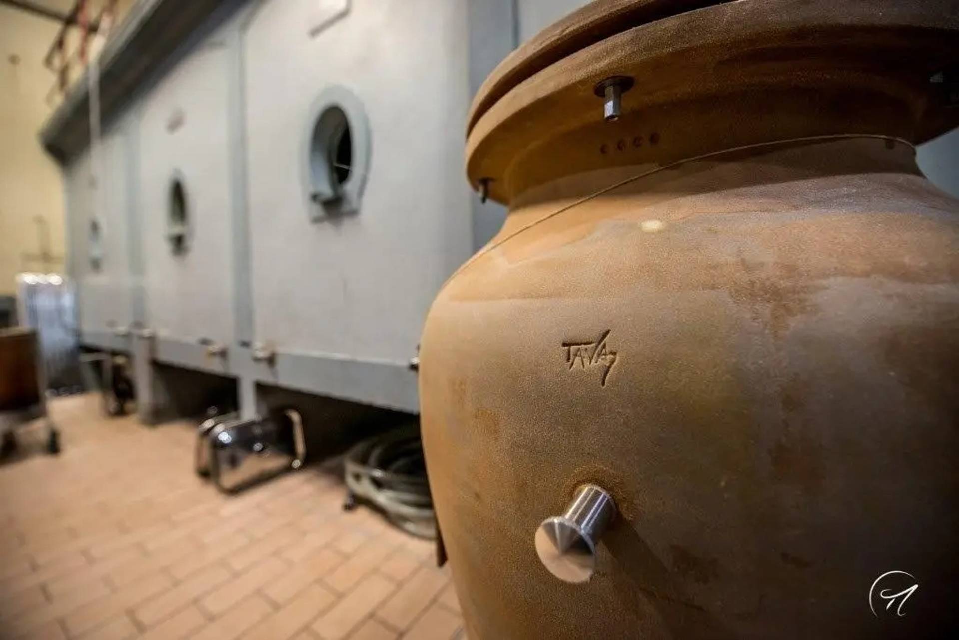 Immersion in a Biodynamic Estate