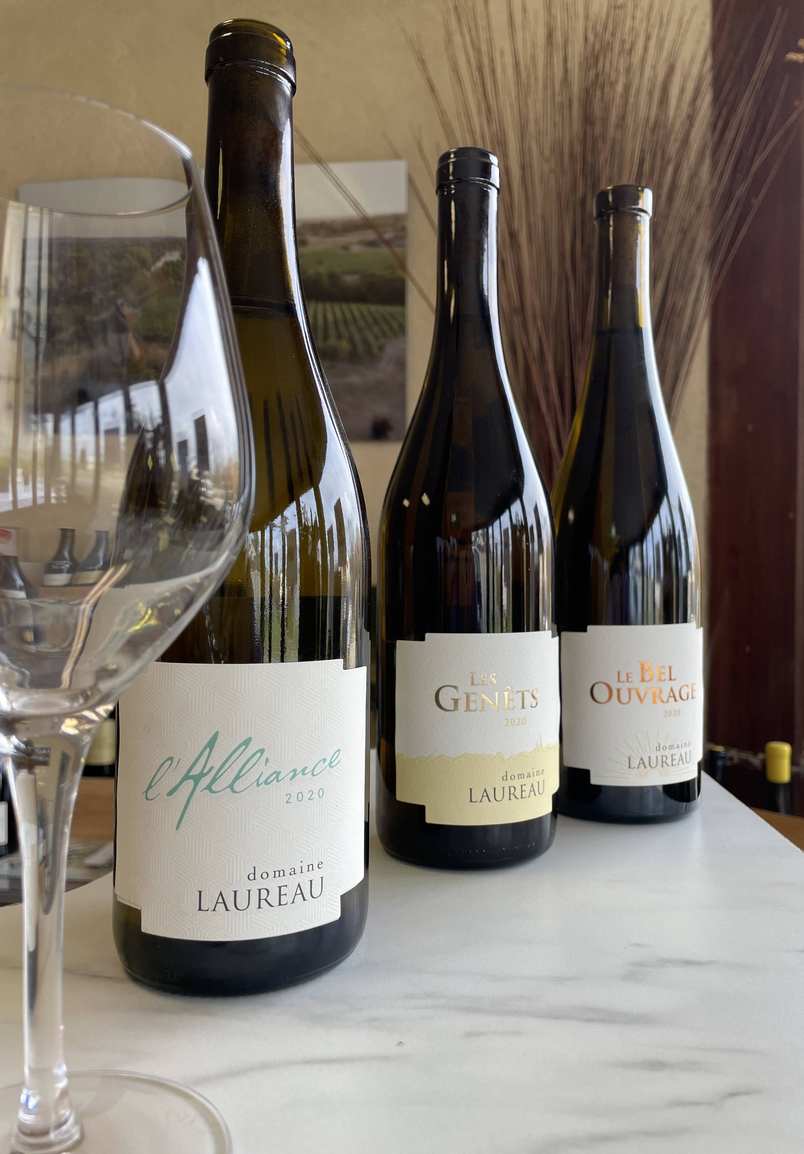 Savennières wine tasting