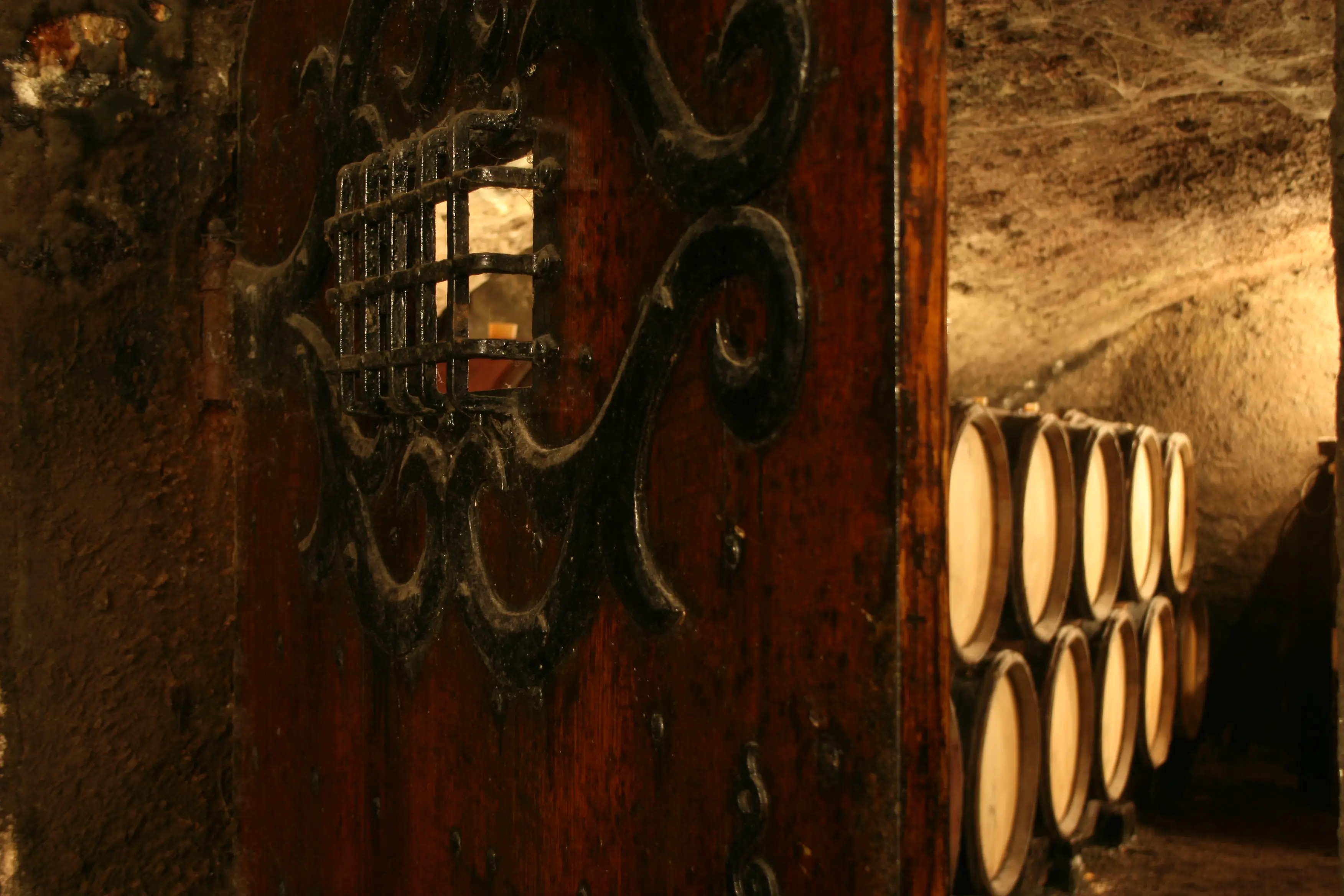 Burgundy wine lovers