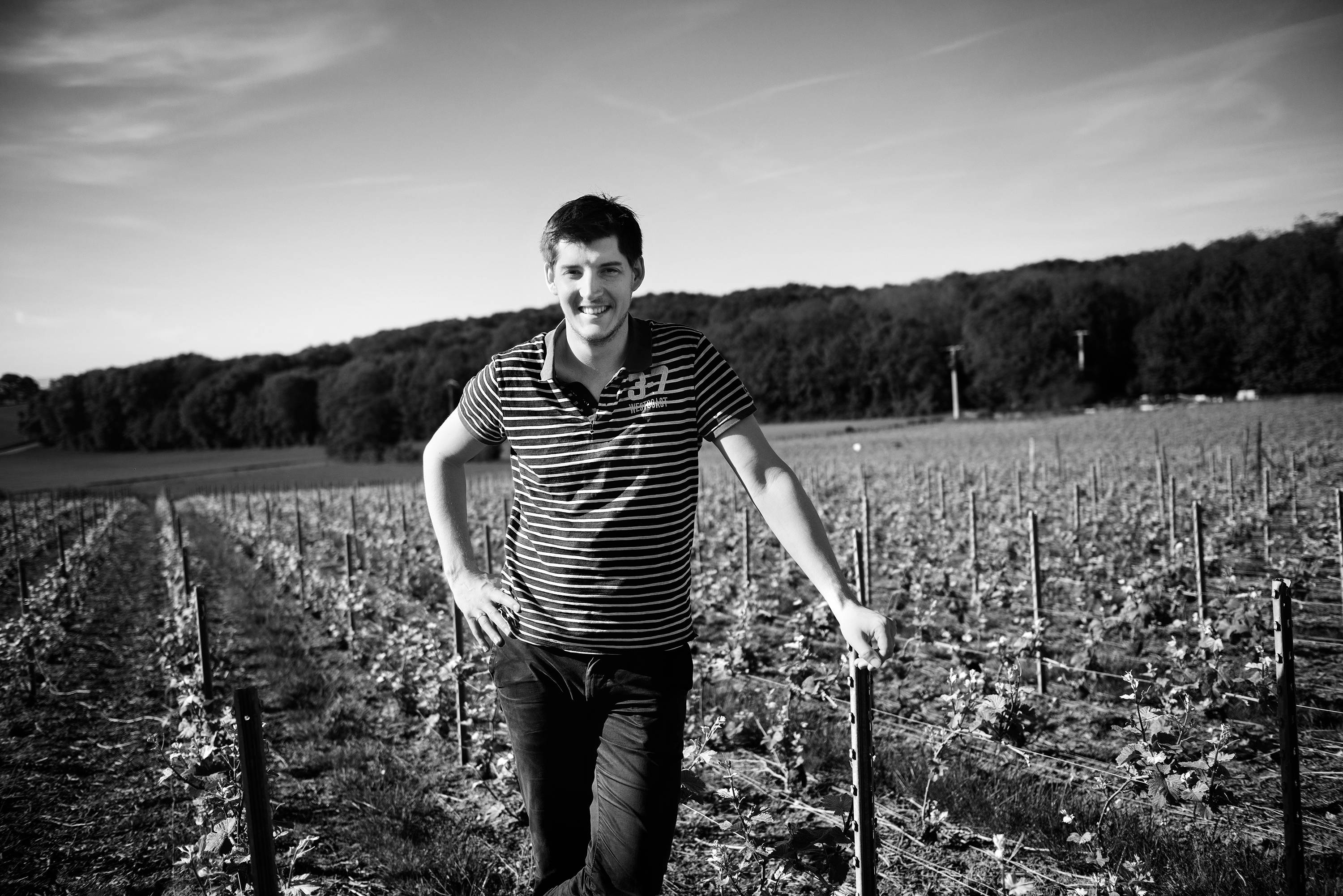 The Winegrower’s Moment: Visit & Tasting