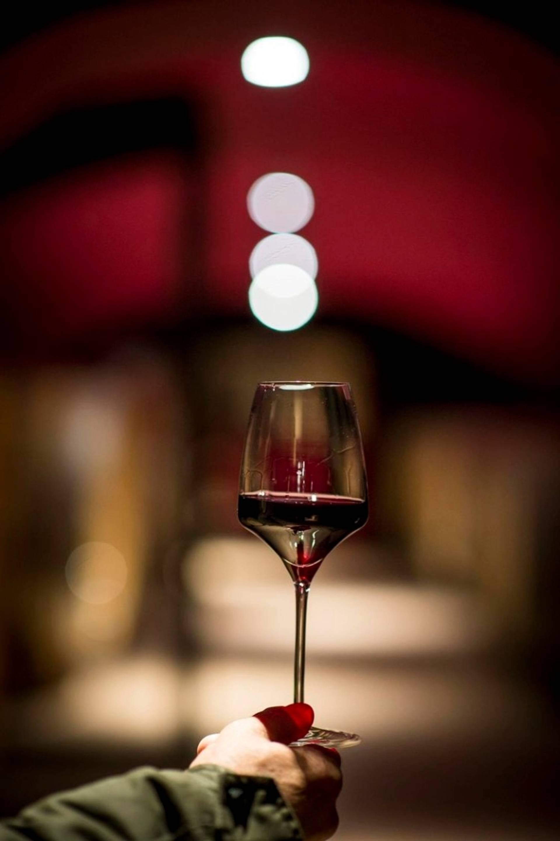 Immersion in the heart of the estate and our cellar