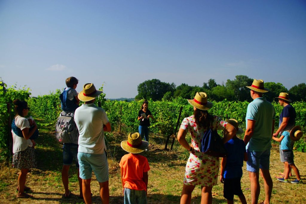 Jolly Wine: visit and tasting