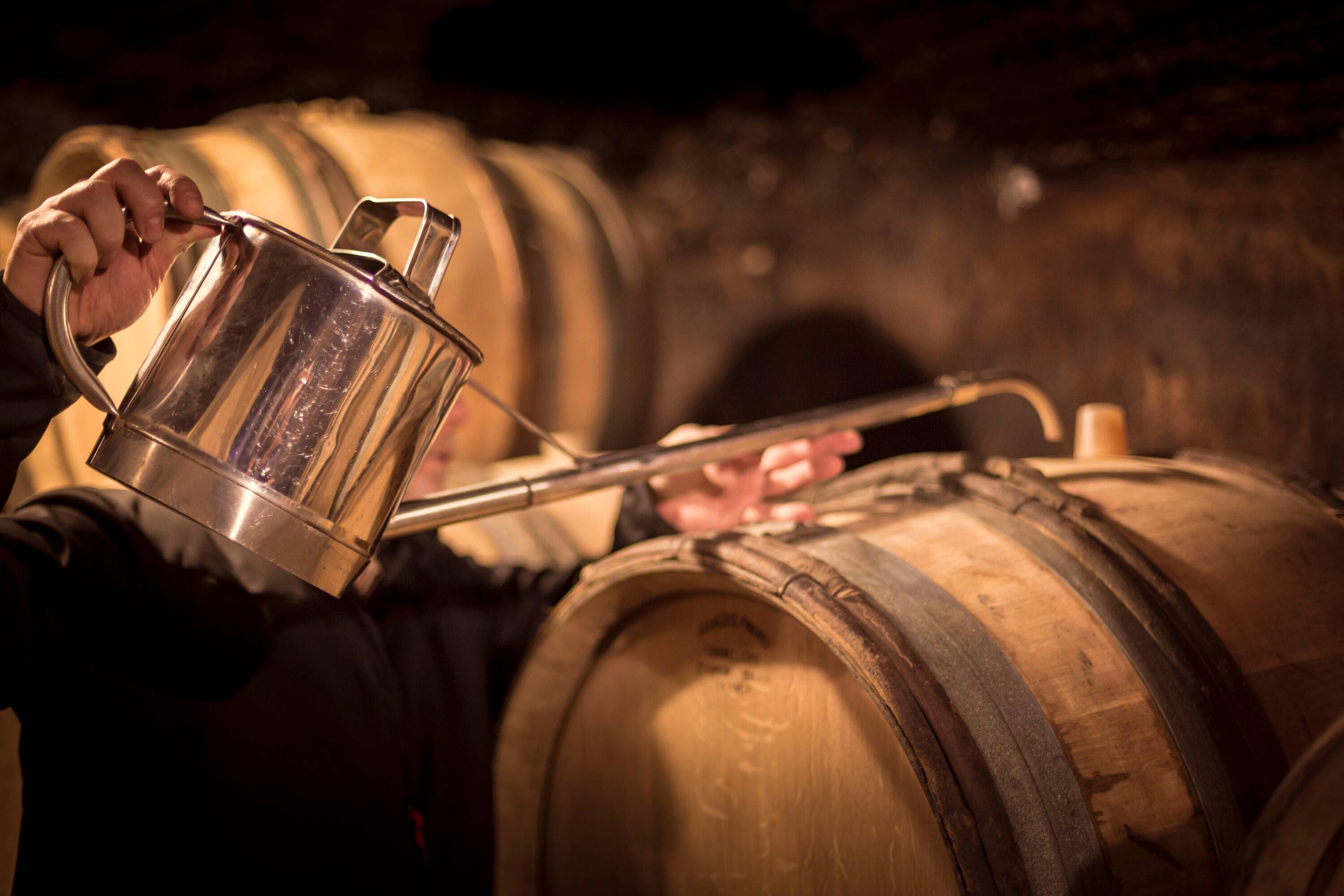 Domains and Châteaux: visits and tastings