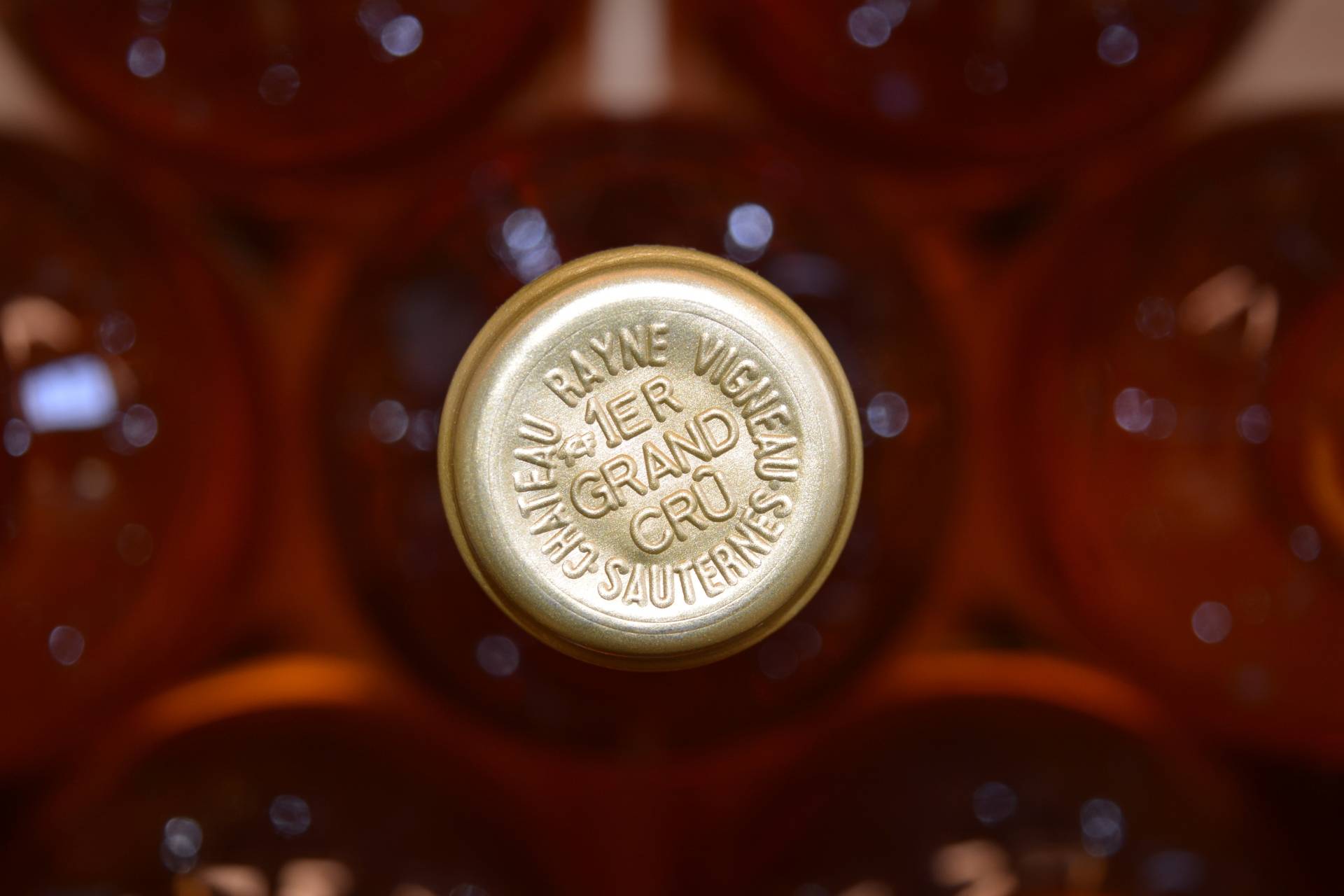 Discovery of Rayne Vigneau – VIP