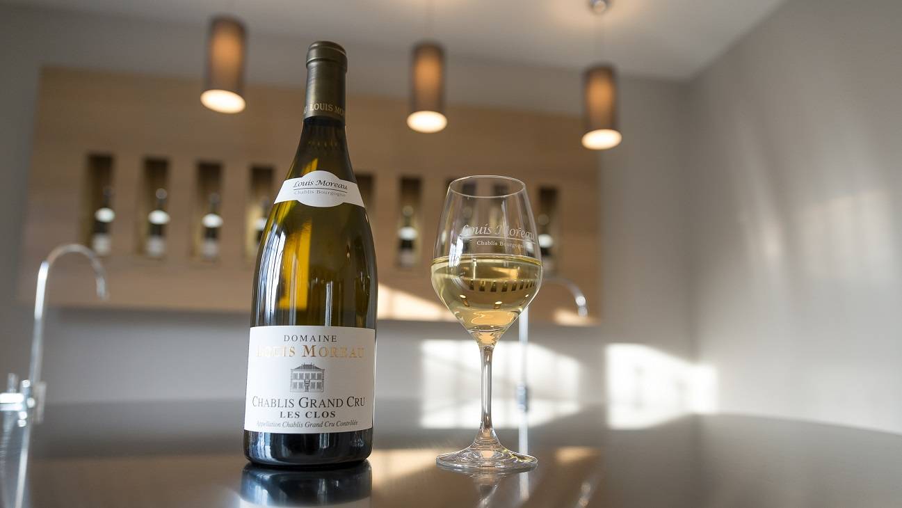 Wine tasting for groups – 5 wines of Chablis accompanied with local gougères