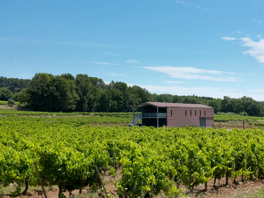 Tasting of estate wines