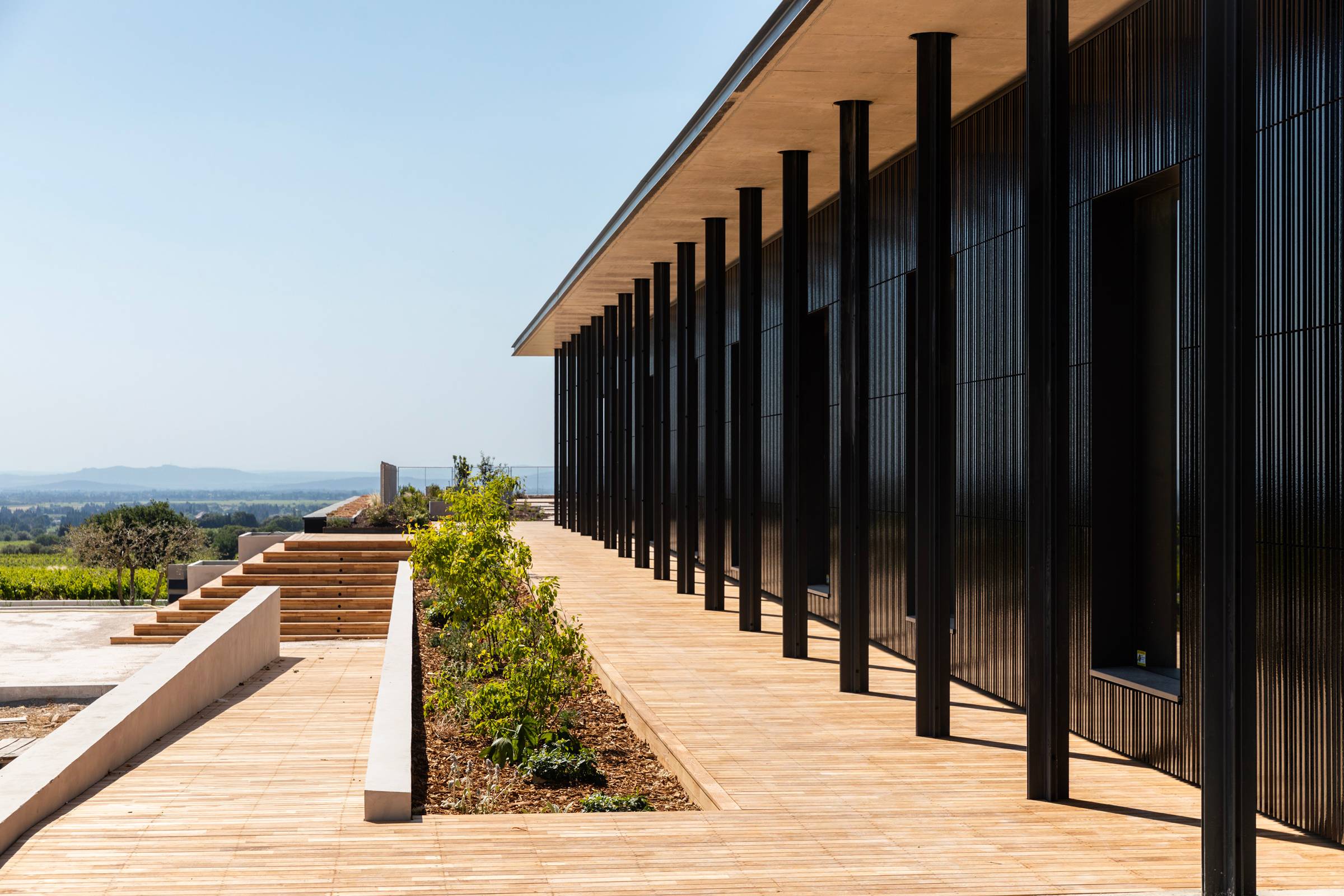 Tasting accompanied by a gourmet platter