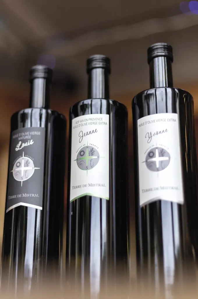 Guided tour of the cellar followed by a tasting