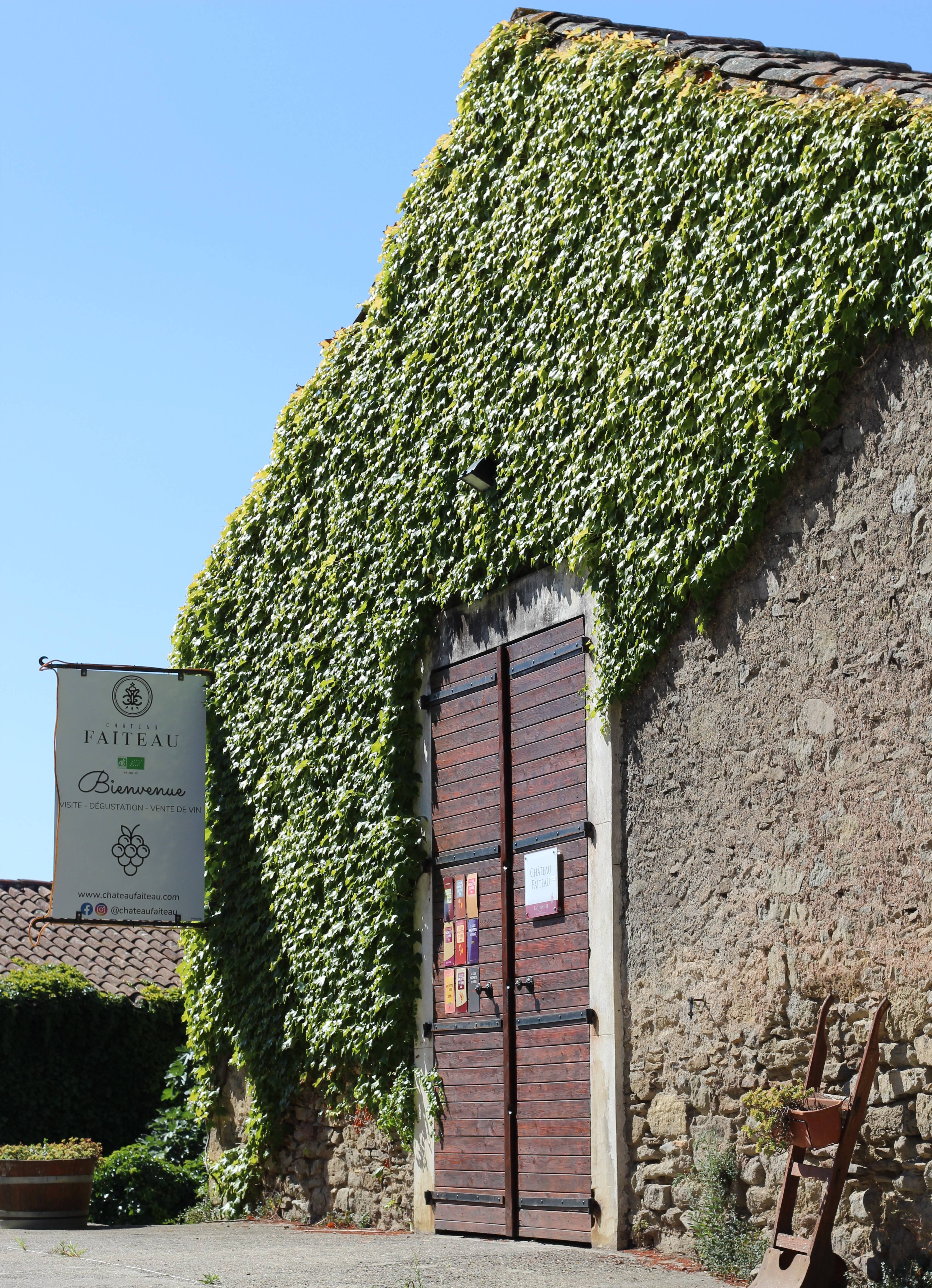 Discovery of the domain