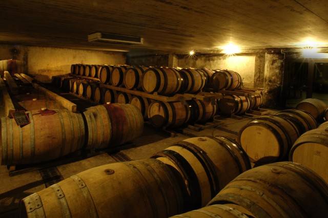 Discover the Art of Blind Tasting