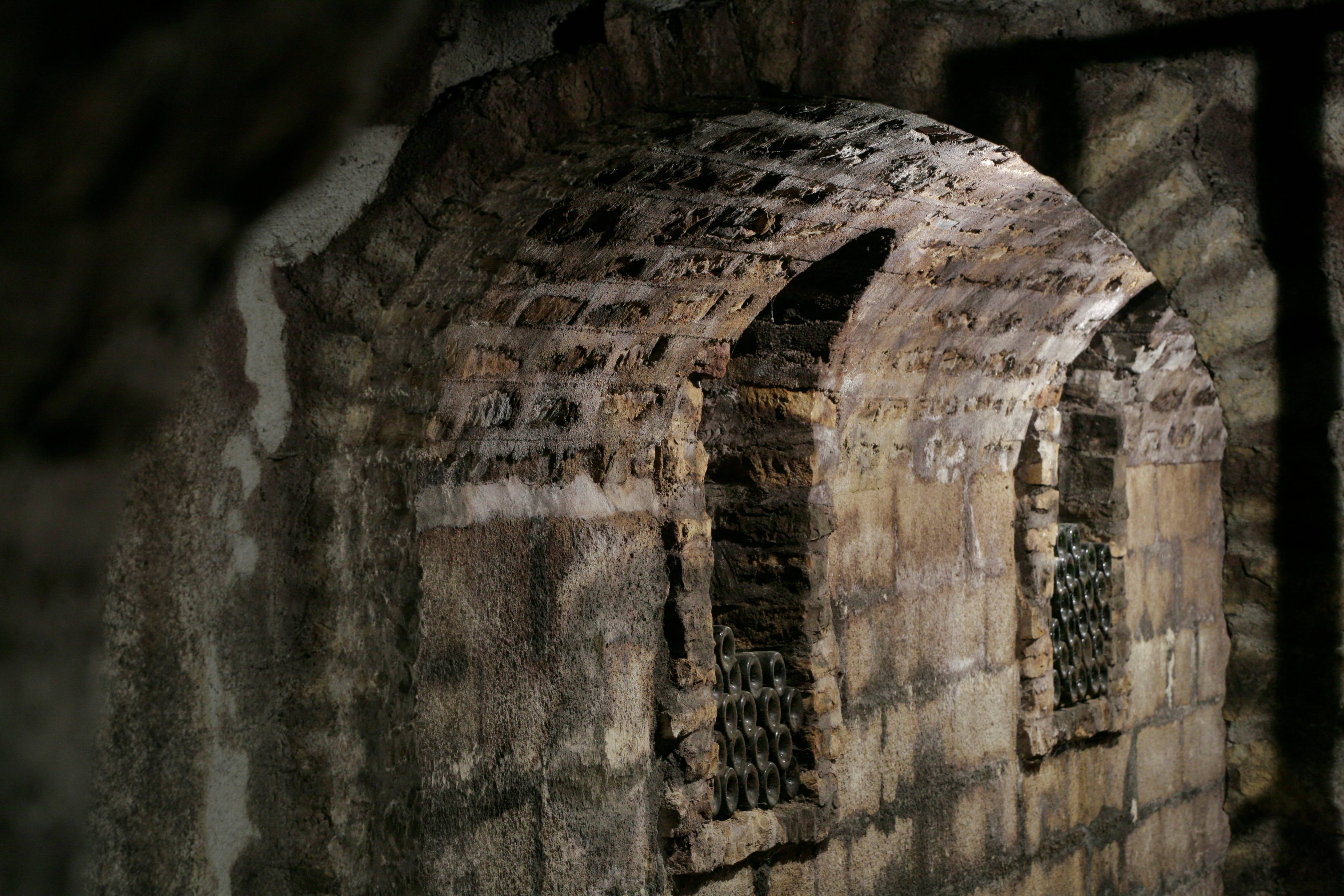 Immerse yourself in the heart of the terroir