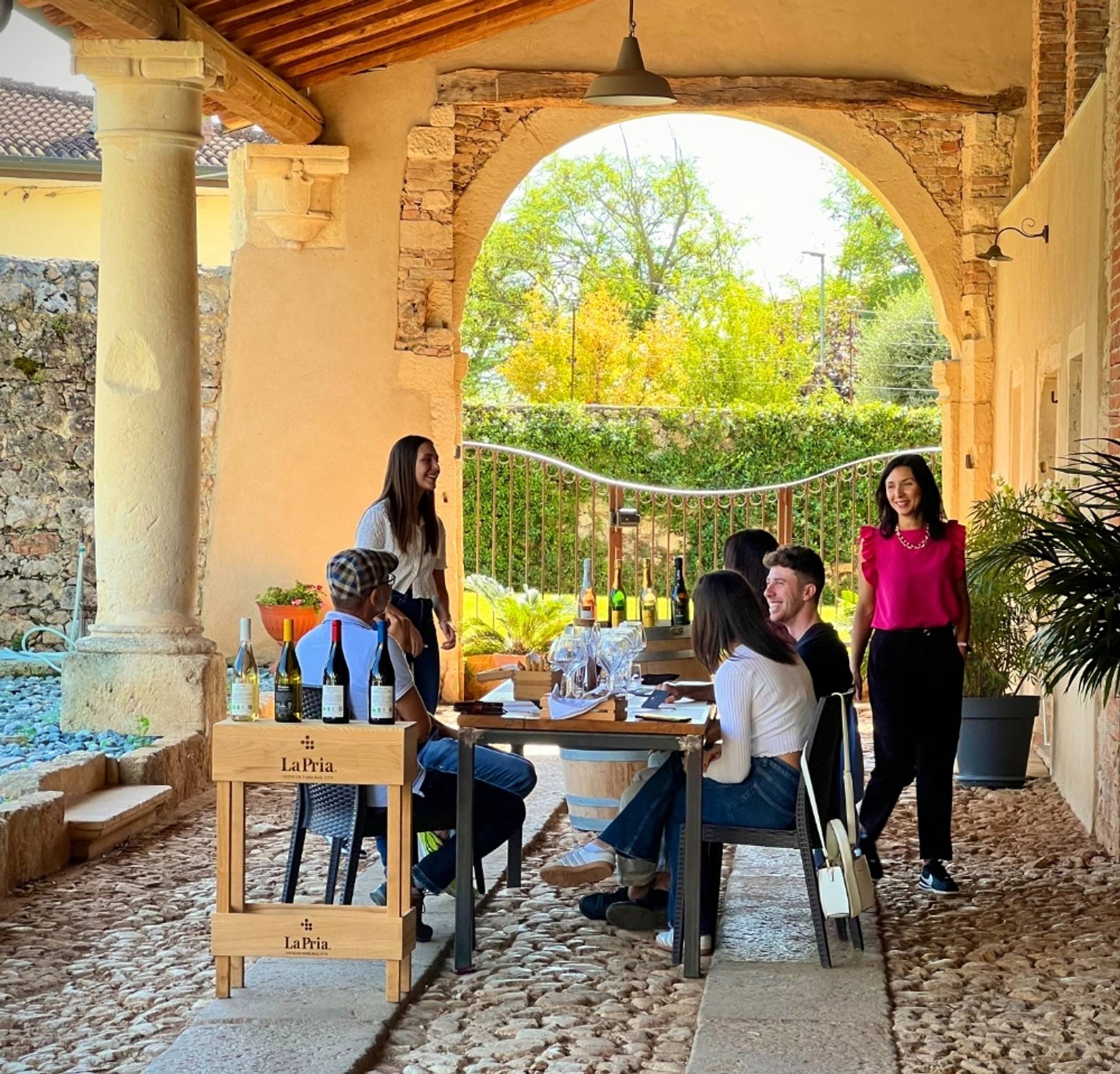 Vineyard Tour and Organic Wine Tasting