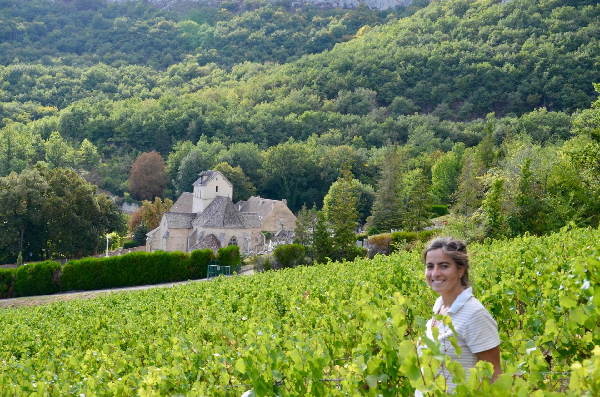 Walk in the vineyards – Tasting in the cellar