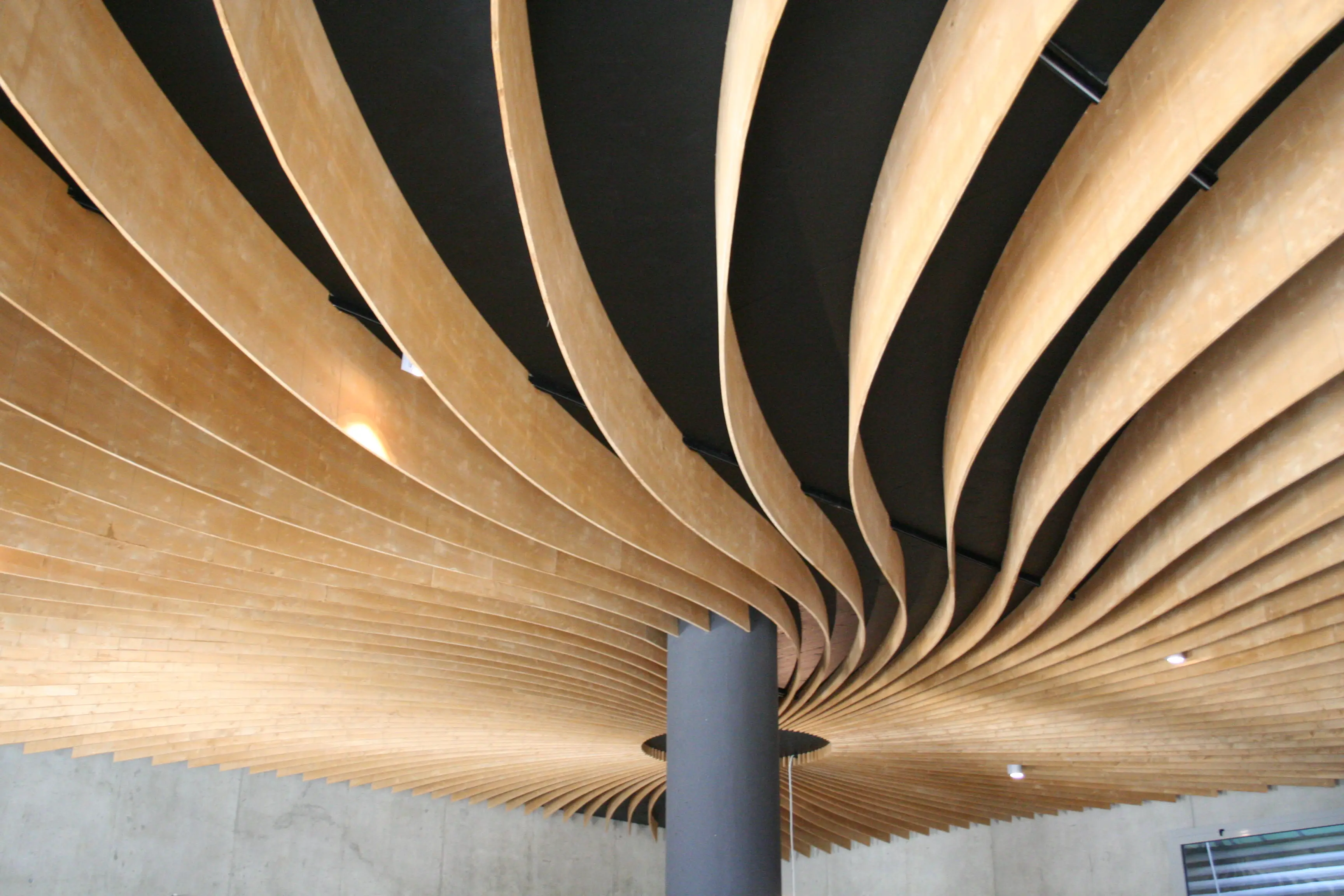 Fortemasso Luxury Experience