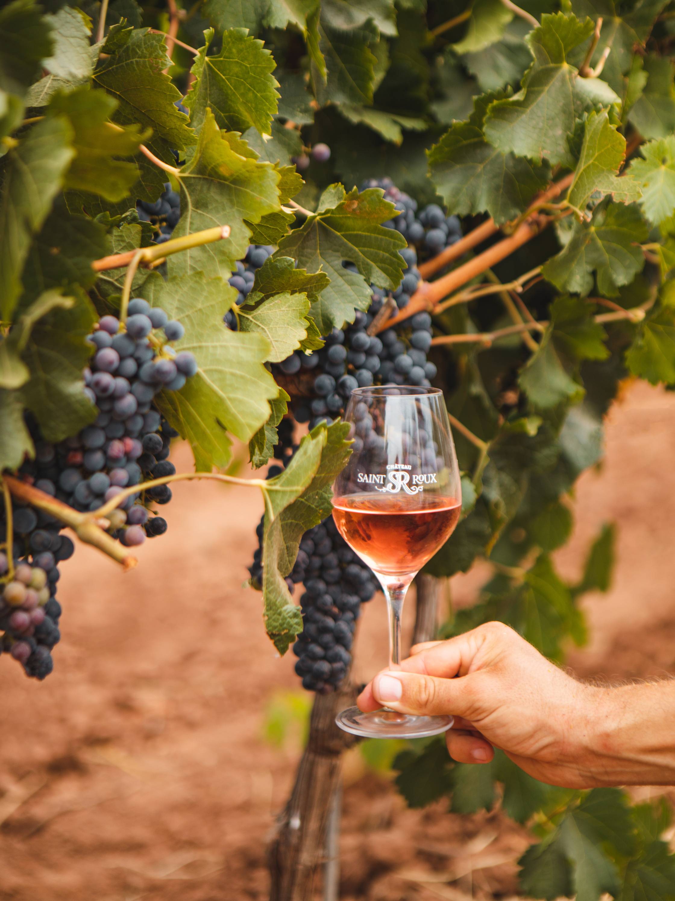 The Sommelier Workshop & authentic lunch