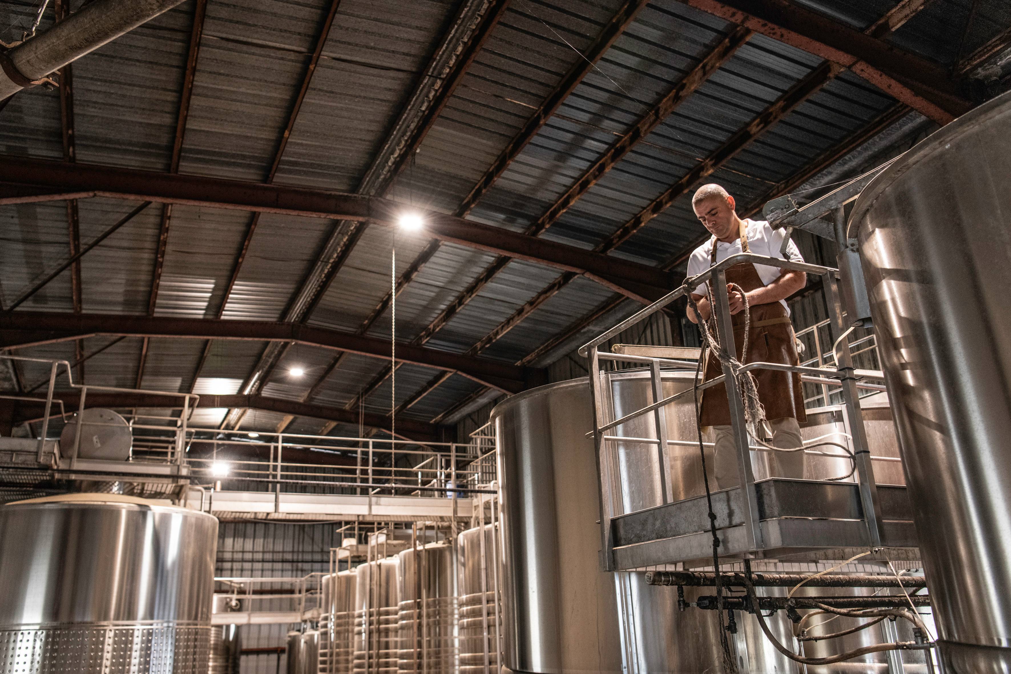 Visit & Tasting at a Bicentennial Château