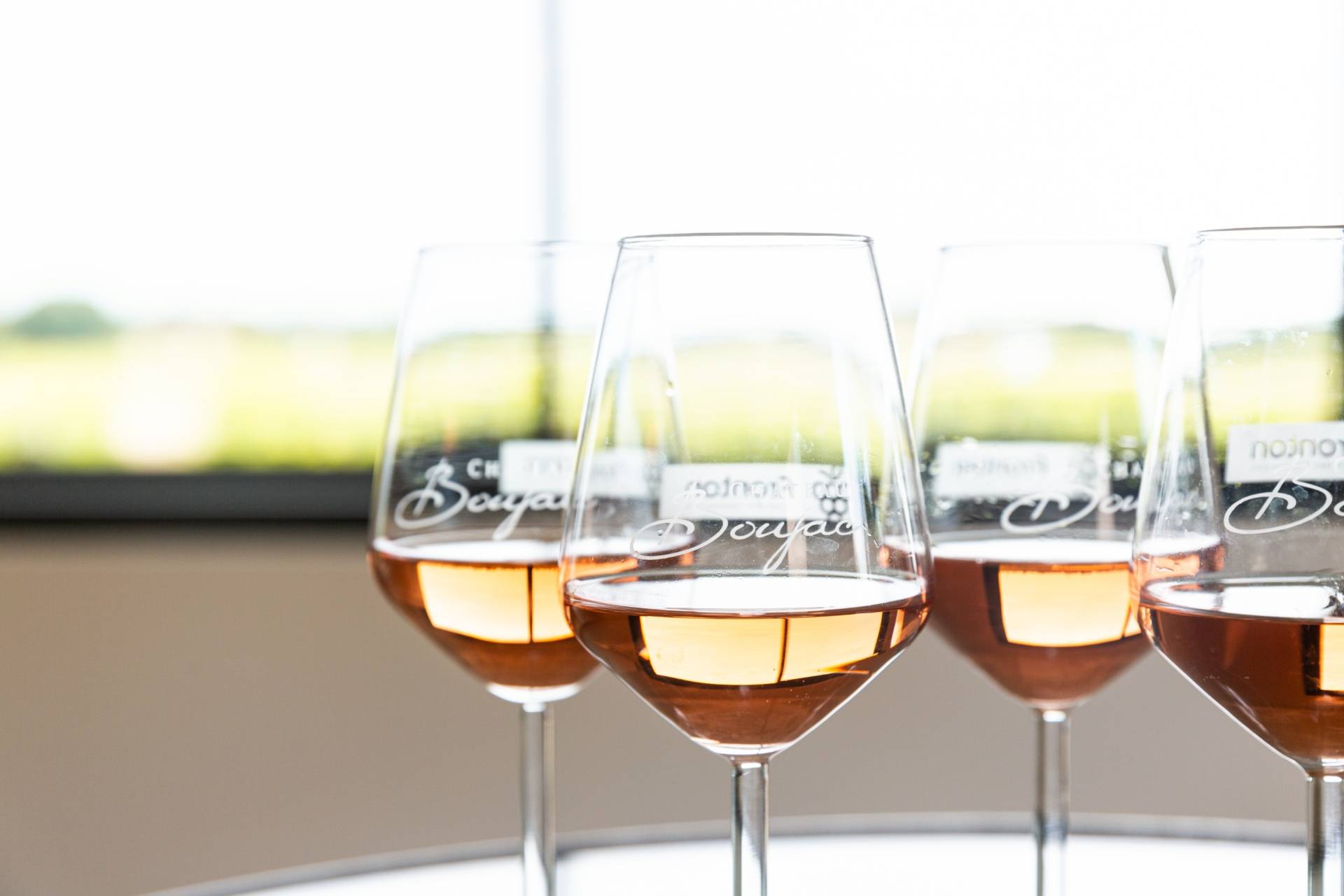 Discovery of the Négrette and gourmet tasting