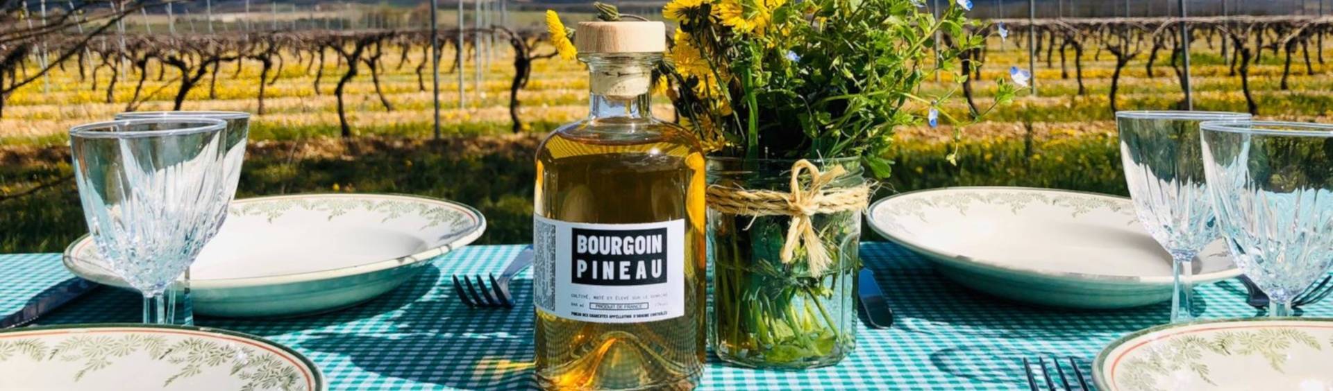 Visit/Tasting/Picnic in the vineyards