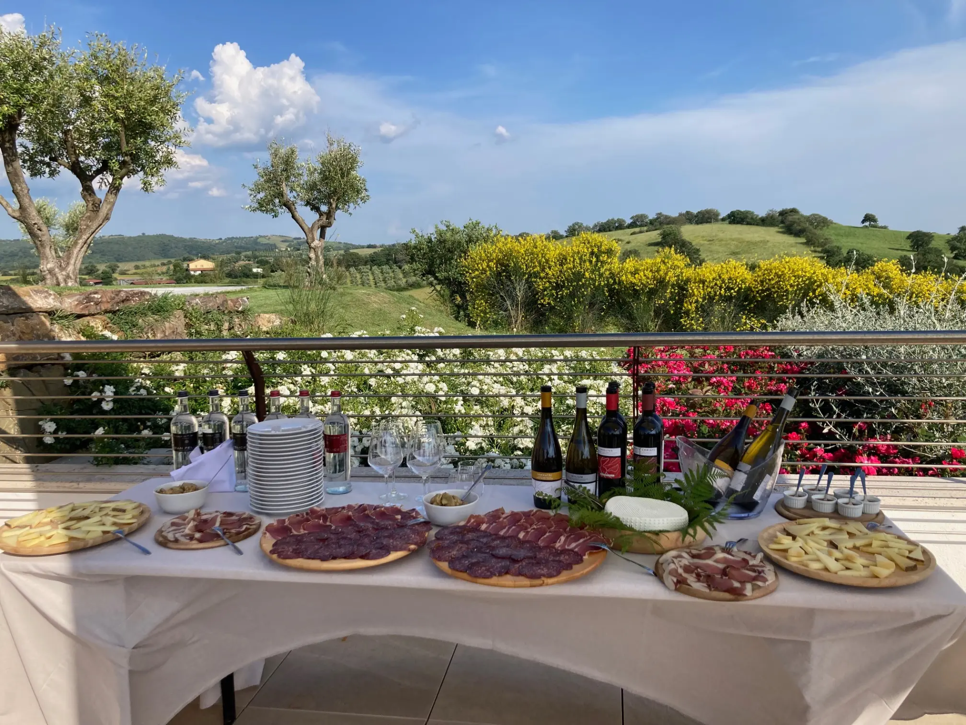 Wine Brunch at the Purovino farm