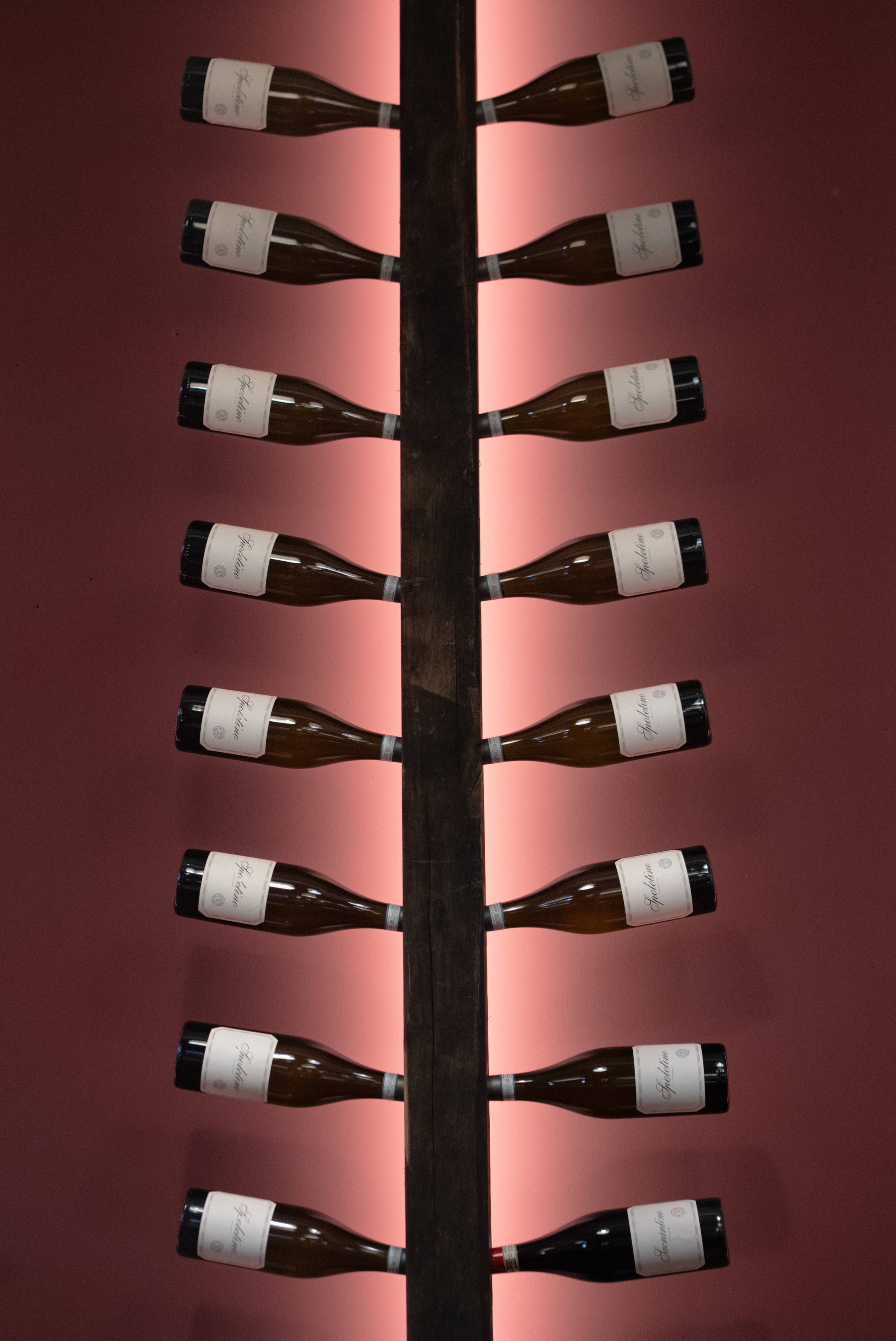 All the Red Wines from Cantina Fratelli Pardi