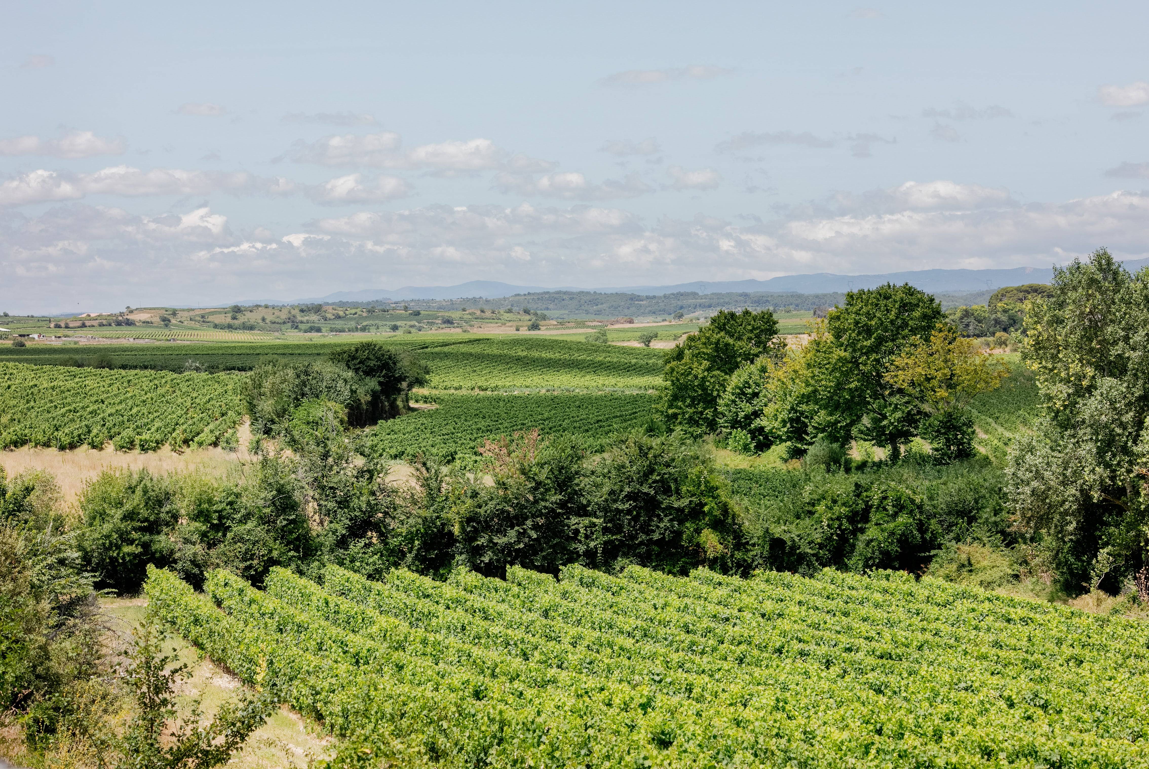 Iconic tasting & self-guided visit of the park