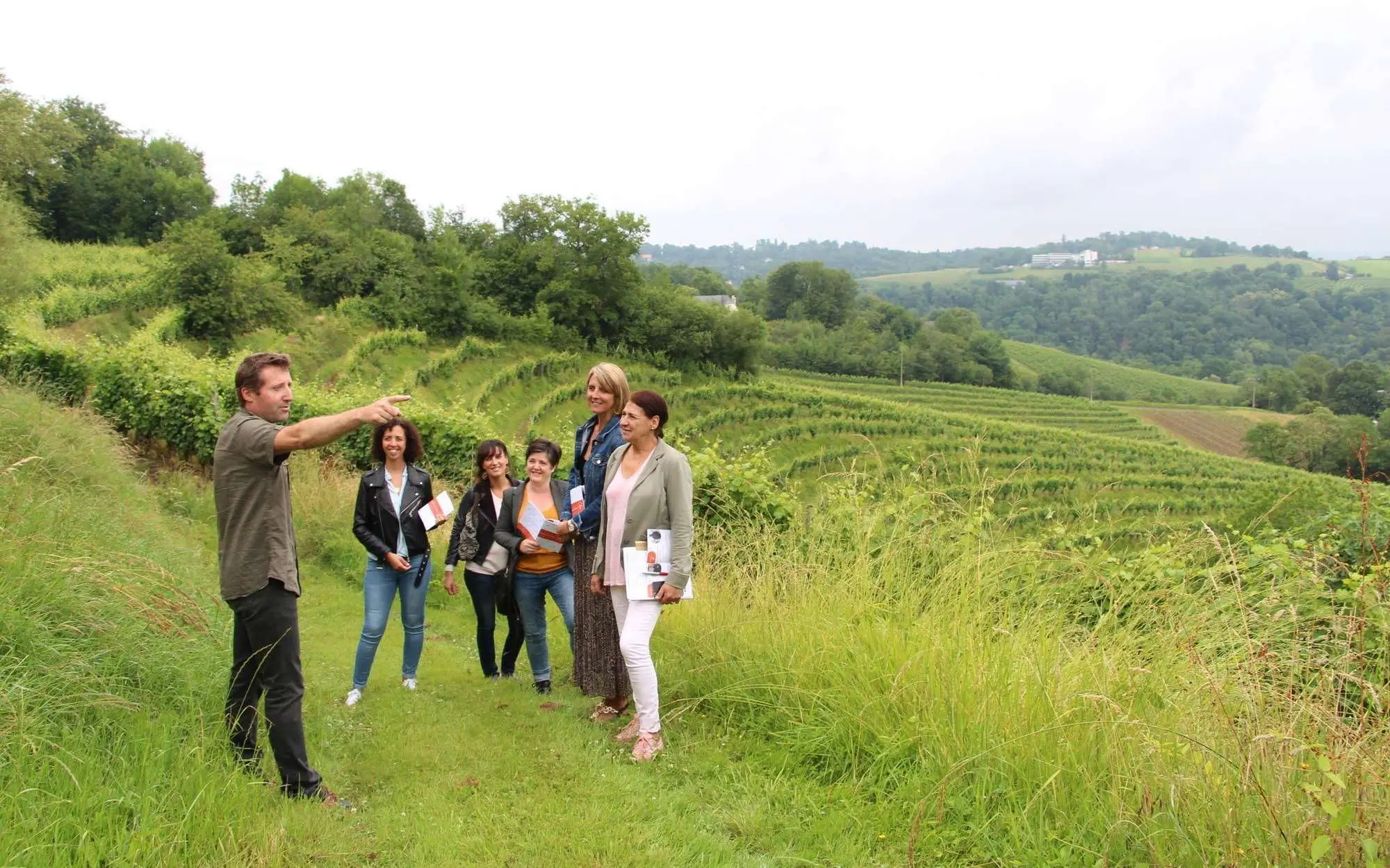 Soupçons en Jurançon